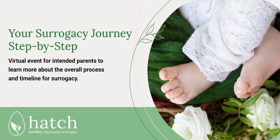 Your Surrogacy Journey