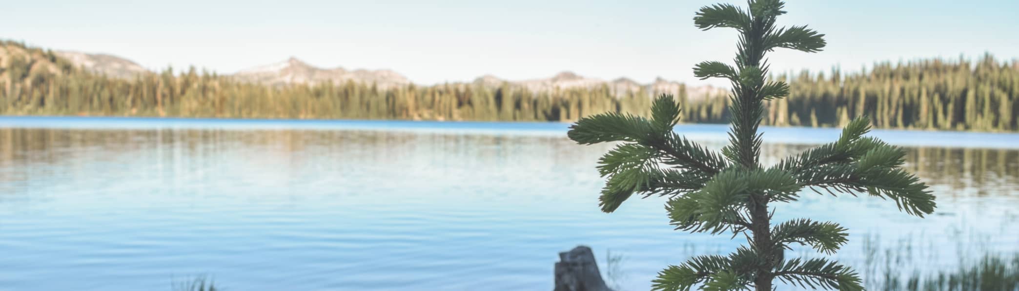 idaho egg donors